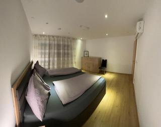 Apartment Baicu Zell am See - 5