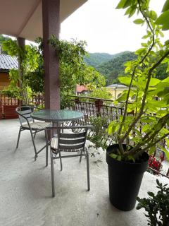 Apartman Jovanović - Jošanička Banja - 4