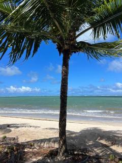 Villa Jucá Casa 03 - 2