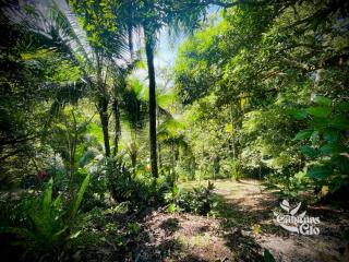 Casita Verde, 800 mts from beach - 6