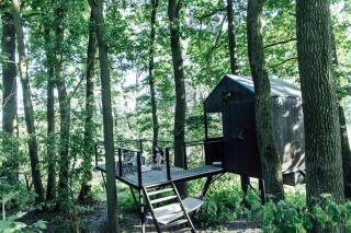 KeepCalm Treehouse far from the civilization - - 1