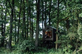 KeepCalm Treehouse far from the civilization - - 5