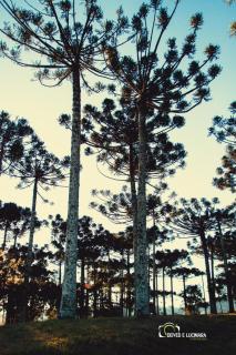 Refúgio do Lago - Lages - 4