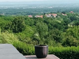 Villa Wolf Castle - vanjski grijani bazen - Lopatinec - 4