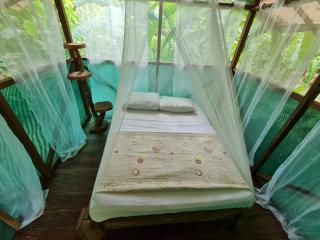 Rio Agujitas Eco jungle - Island and Corcovado tours - Drake - 7