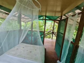 Rio Agujitas Eco jungle - Island and Corcovado tours - Drake - 8