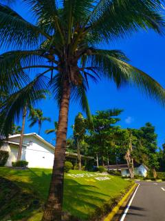 Tropical Paradise Retirement Village Inc - Sawat - 0