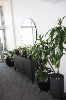 Penthouse Apartment with Balcony and Firepit - Wellington - 4