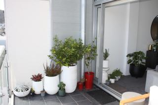 Penthouse Apartment with Balcony and Firepit - Wellington - 5