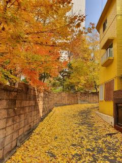 The Seoul House Mapo - Foreigners Only - 8