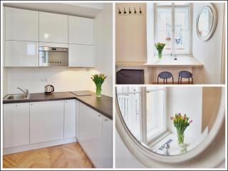 Lovely Lila apartment - Prague - 9