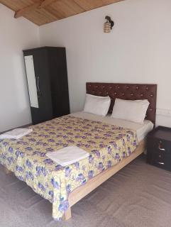 Home De francisco - Canacona - 4