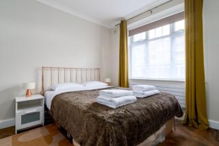 Central London 1 BR Apt in Vauxhall near Big Ben - 8