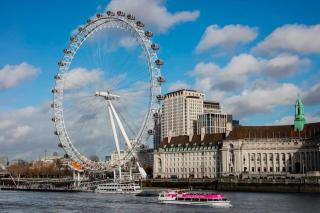Central London 1 BR Apt in Vauxhall near Big Ben - Londra - 5
