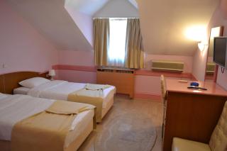 Hotel Tomce Sofka - Skopje - 9