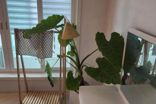 Beautiful Apt Residence near Gwangan beach - Busan - 5