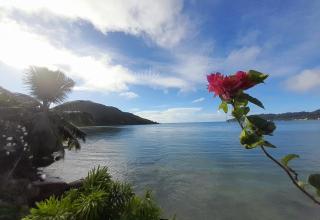 SAVY'S PLACE - Baie Sainte Anne - 4