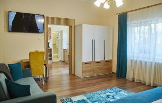 CONFORT HOUSE PLUS - Alba Iulia - 3
