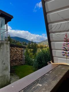 Lavender House - Slavske - 1