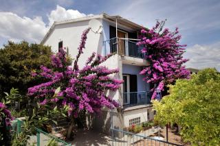 Apartments Irena - Trogir - 0