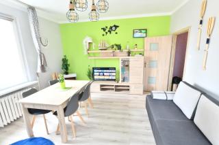 Pokój w apartamencie dwupokojowym ze współdzieloną kuchnią i łazienką - Gdynia - 9
