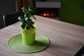 Pokój w apartamencie dwupokojowym ze współdzieloną kuchnią i łazienką - Gdynia - 7