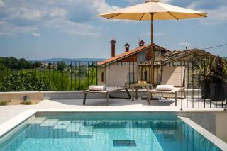 Modern villa Venta with jacuzzi and pool in Buje - Krasica - 9