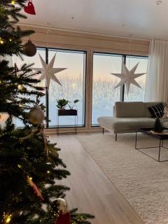 Villa Vennivaara - 8