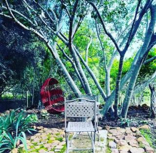 Bosveldsig Cottages - 3