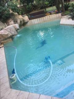 Chez Nous - Johannesburg - 1