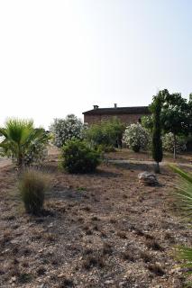 Sa Riba, Country house in Mallorca - Son Carrió - 5