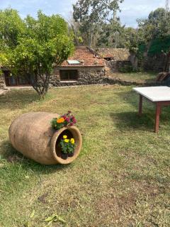 Rural House to take a Break, La Serreria 25 - Private garden - Tacoronte - 0