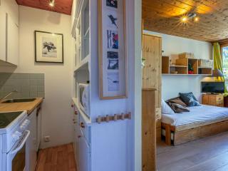 Studio cosy au centre près des pistes - Animaux admis - FR-1-694-266 - 6