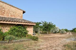 Sa Riba, Country house in Mallorca - Son Carrió - 4