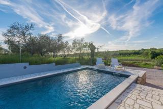 Villa Pendolina with pool and grill in Umag - 8