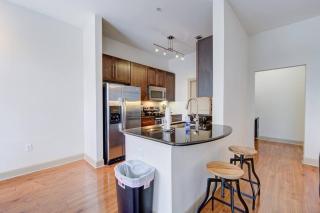 1BR Urban Retreat Pool Gym Near NRG WiFi PetOK - Houston - 7
