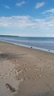 BEACH LIFE UPPUVELI - 1