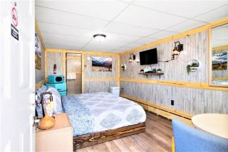 9 Newly Renovated Dog Friendly Room Leadville - 0