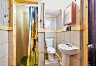 9 Newly Renovated Dog Friendly Room Leadville - 4