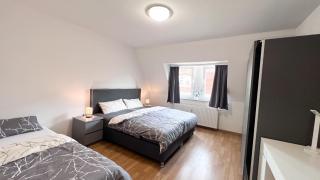 517 Zentrum Ost Apartment - Leipzig - 7