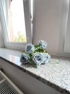 517 Zentrum Ost Apartment - 5