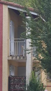 JOLI T2 DANS UN ECRIN DE VERDURE n 2 - 1