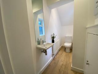 Fantastic Spacious Garden Flat with Own Private Entrance - Londen - 9