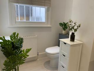 Fantastic Spacious Garden Flat with Own Private Entrance - Londen - 5