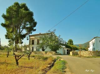 El Pino B & B, Chera - Valência - 9