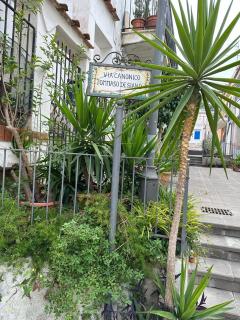 Nunziatina House - Isquia - 5