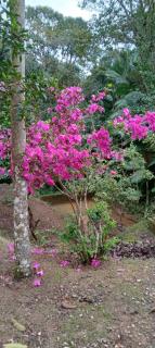 Sítio Monte Sião - Casa de Sítio - 4