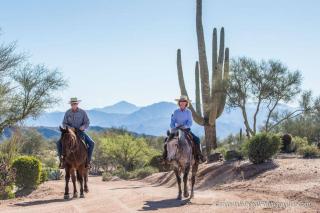 Rio Rancho Verde Two Bedroom Suite - 4