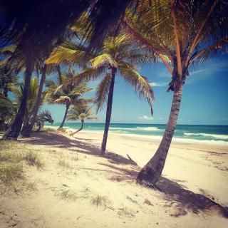 Refúgio à Beira-Mar a 400m das Piscinas Naturais - 1