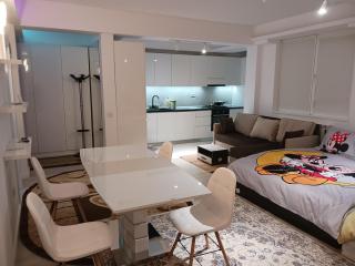 Myky Mouse nu primesc santieristi si petrecareti - 5